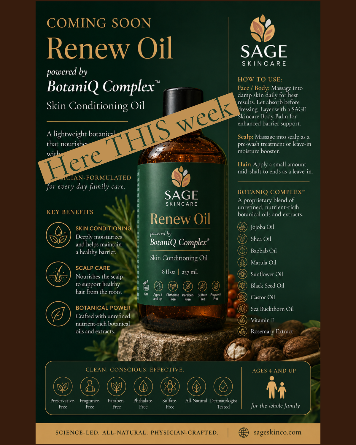 Renew Oil